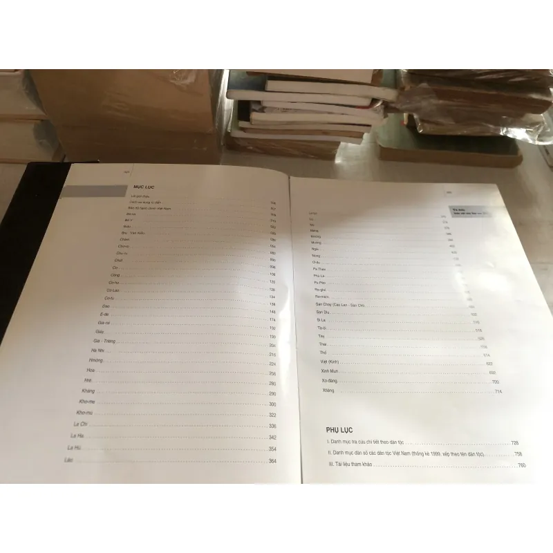 Từ điển hiện vật văn hoá các dân tộc Việt Nam 785020