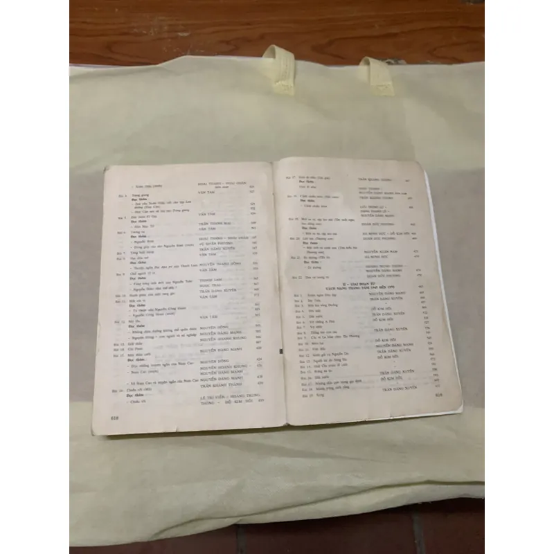 GIẢNG VĂN VĂN HỌC VIỆT NAM 738978