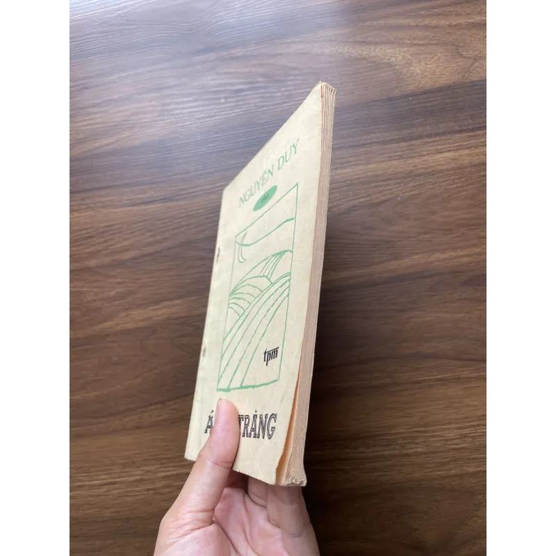 Ánh Trăng - Thơ Nguyễn Duy 976763