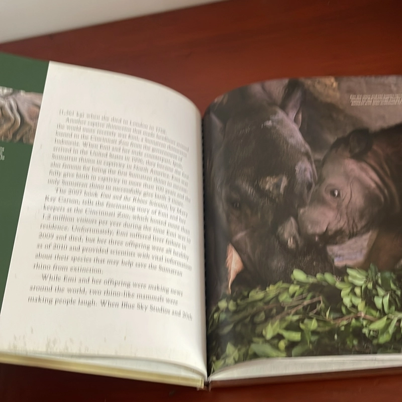 PICTURE BOOK Rhinoceroses 536039