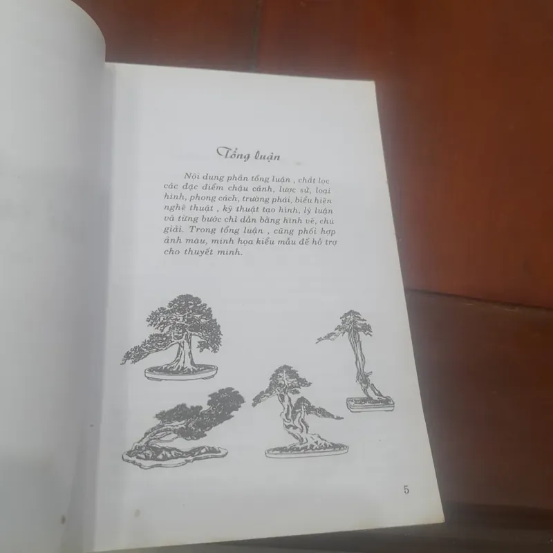 Nghệ thuật CHẾ TÁC CHẬU CẢNH 715538