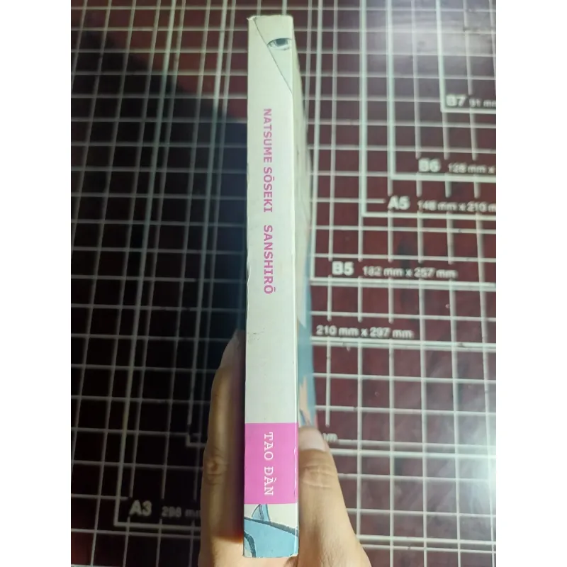 Văn chương kinh điển sanshiro - Natsume Soseki 754637