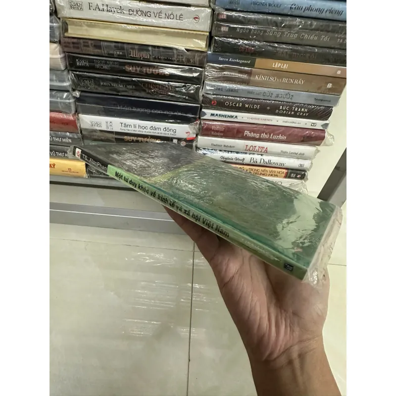 Một tư duy khác về kinh tế và xã hội Việt Nam - TS. Alan Phan 568211