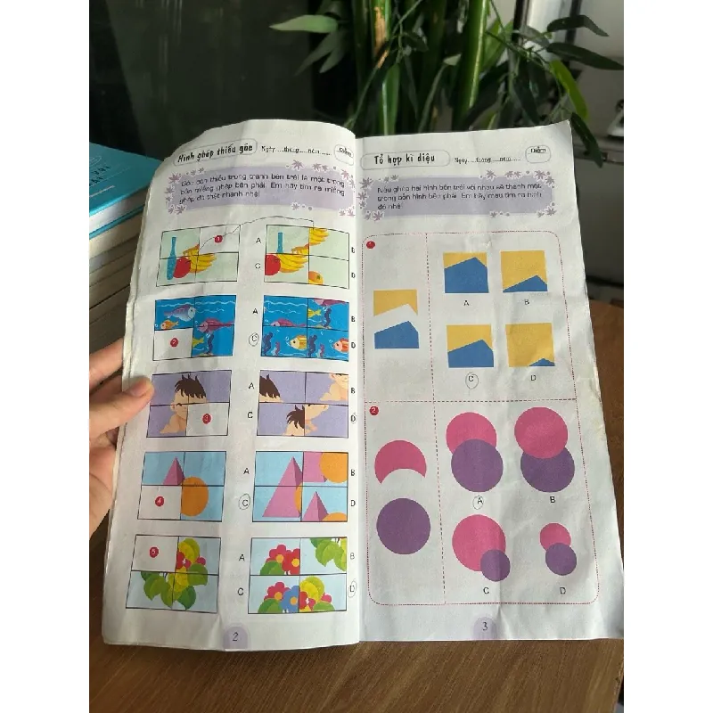 Rèn luyện trí tuệ (Phát triển IQ cho trẻ em) - Nhiều tác giả (Thục Vân dịch) 573283