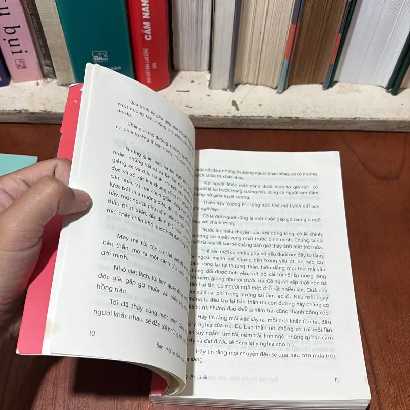 II Combo: Càng Mạnh Mẽ Càng Dịu Dàng & Bạn Mới Là Chủ Nhân Của Cuộc Đời Mình - Lý Ái Linh 756753