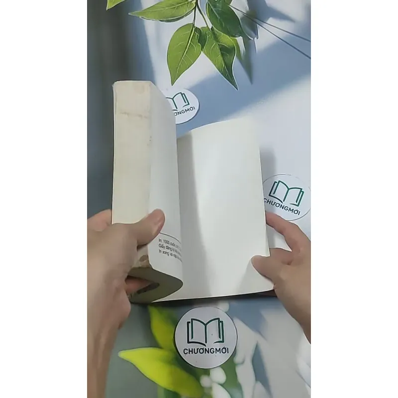 Con rể tỉnh trưởng - Phương Vỹ 695009