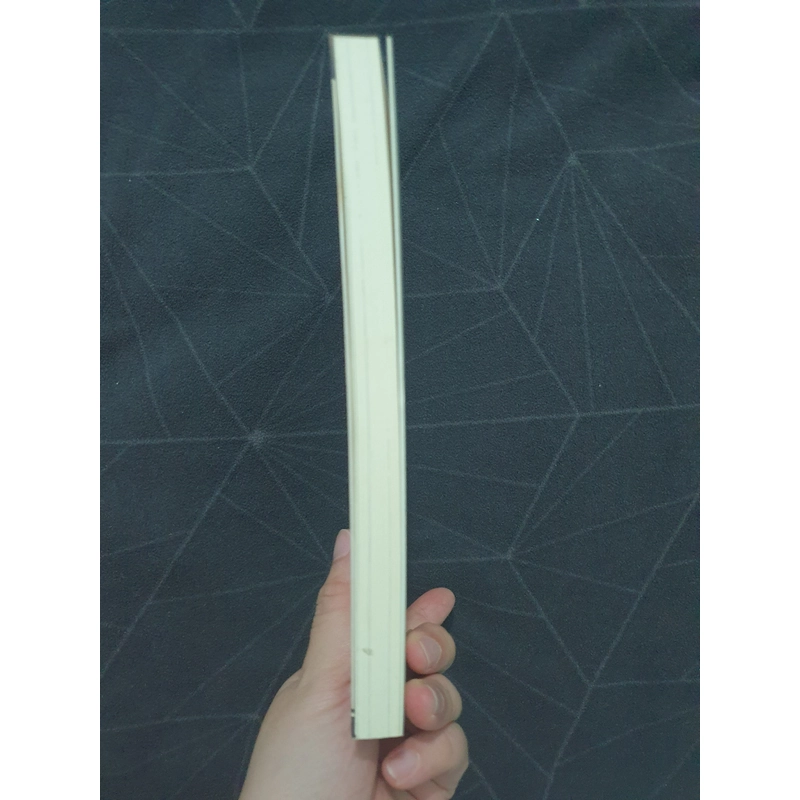 "Cuộc đời là một cuốn tiểu thuyết" (new) - Guillaume Musso 538995