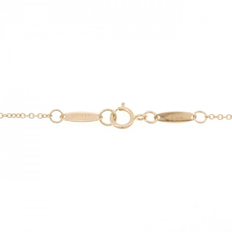 Dây chuyền Tiffany By The Yard - Hàng hiệu Authentic 841956