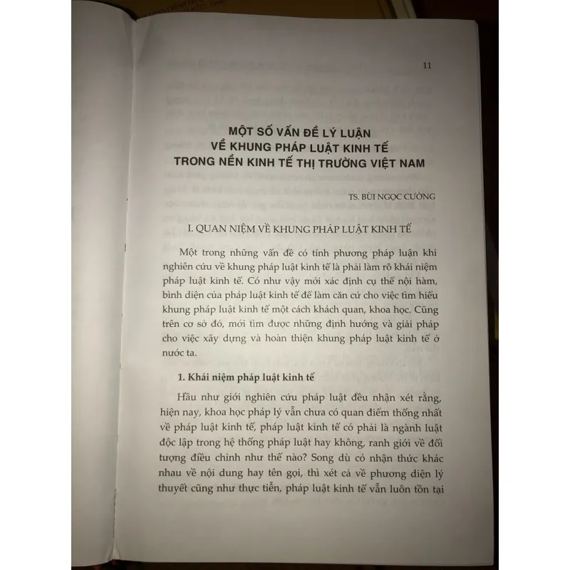 Pháp luật kinh tế Việt Nam trong thời kỳ đổi mới 603133