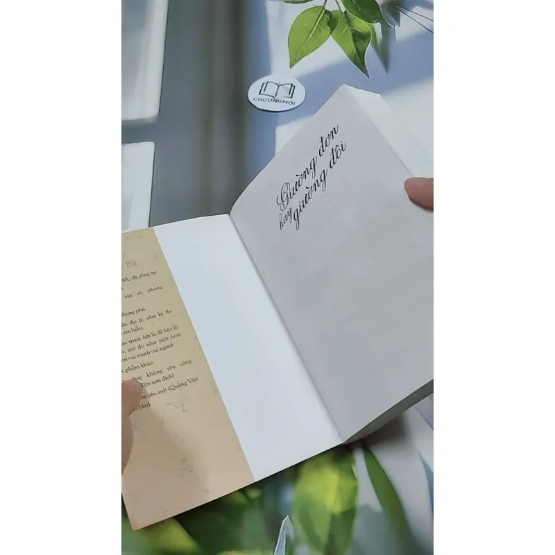 Giường Đơn Hay Giường Đôi - Cầm Sắt Tỳ Bà 744730