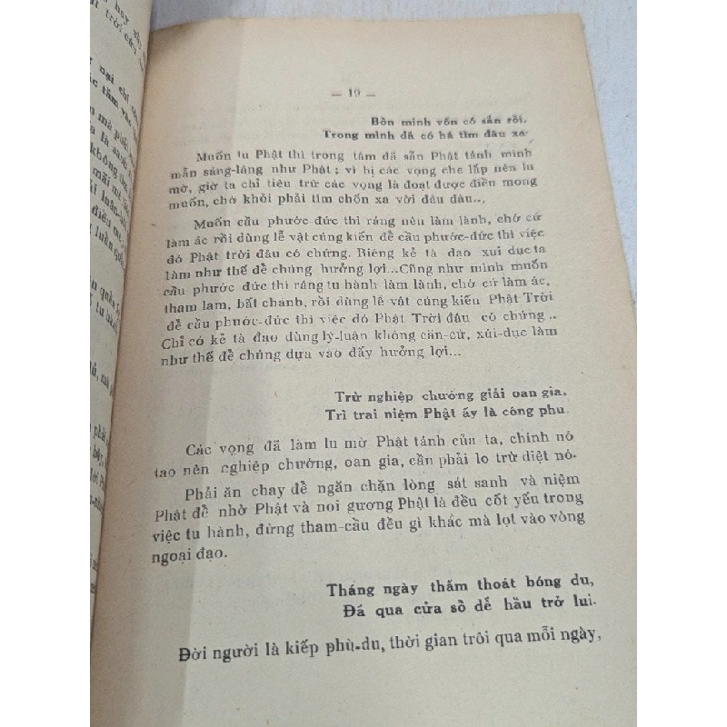 Nỗi lòng người cư sĩ về đề tài tu là cội phúc - Thuần Tâm 776372