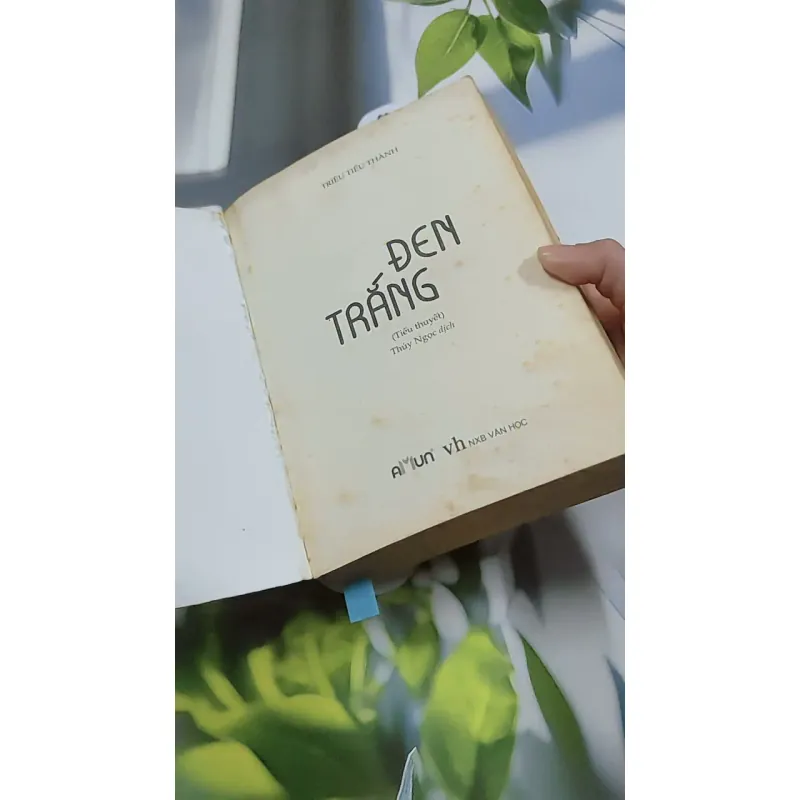 Đen Trắng - Triêu Tiểu Thành 744742