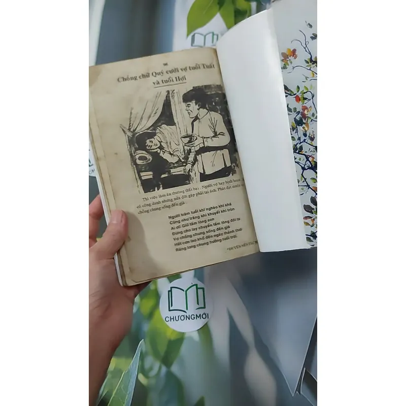 Cao Ly Đầu Hình 928568