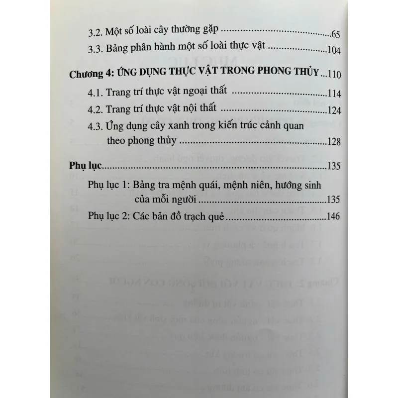THỰC VẬT VÀ ỨNG DỤNG THỰC VẬT TRONG PHONG THỦY 759928