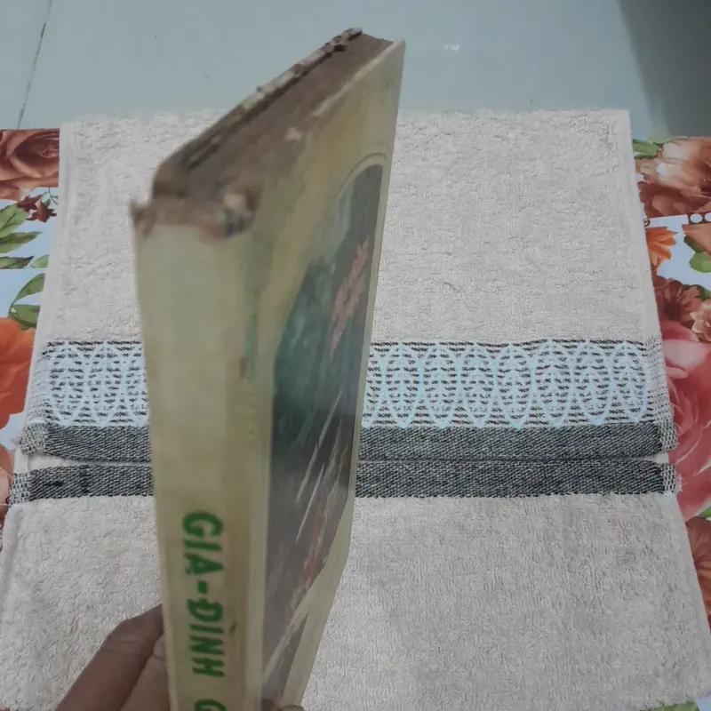 Gia Đình Giáo Dục. Học giả Raymond Beach bản in Thời Thiệu Saigon 1965 606331