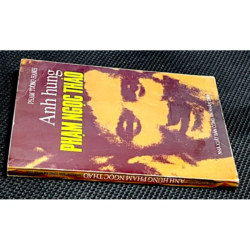 Anh hùng PHẠM NGỌC THẢO 1003095