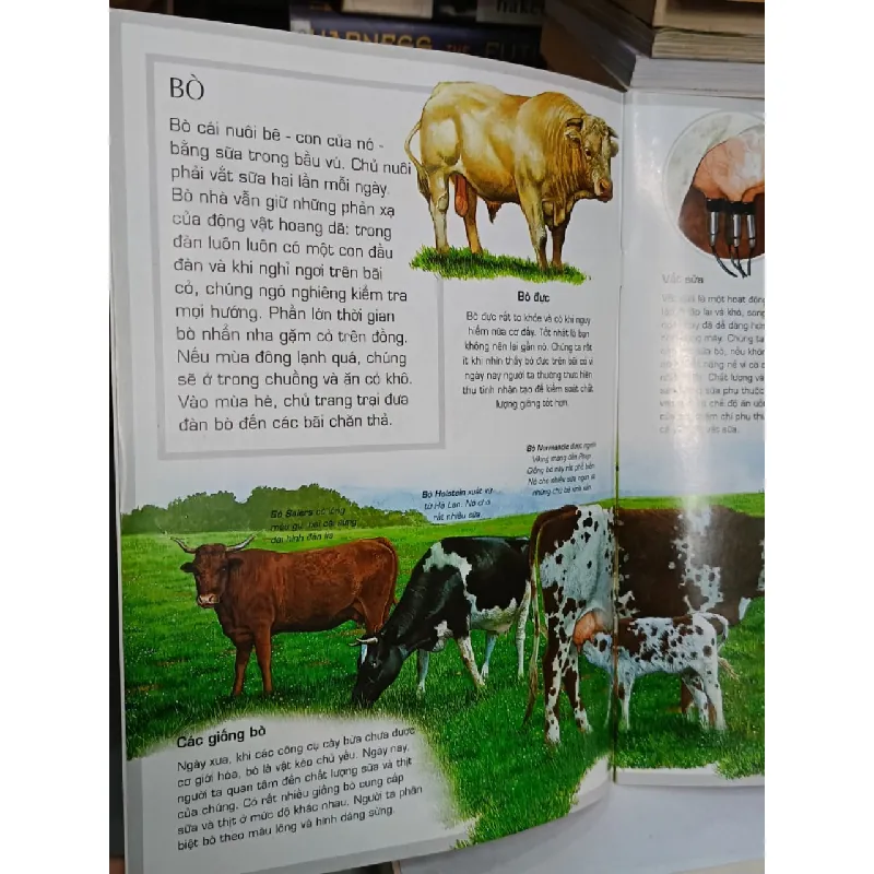 Tủ sách thế giới động vật: ĐỘNG VẬT NUÔI - Quốc Dũng (dịch) 688022