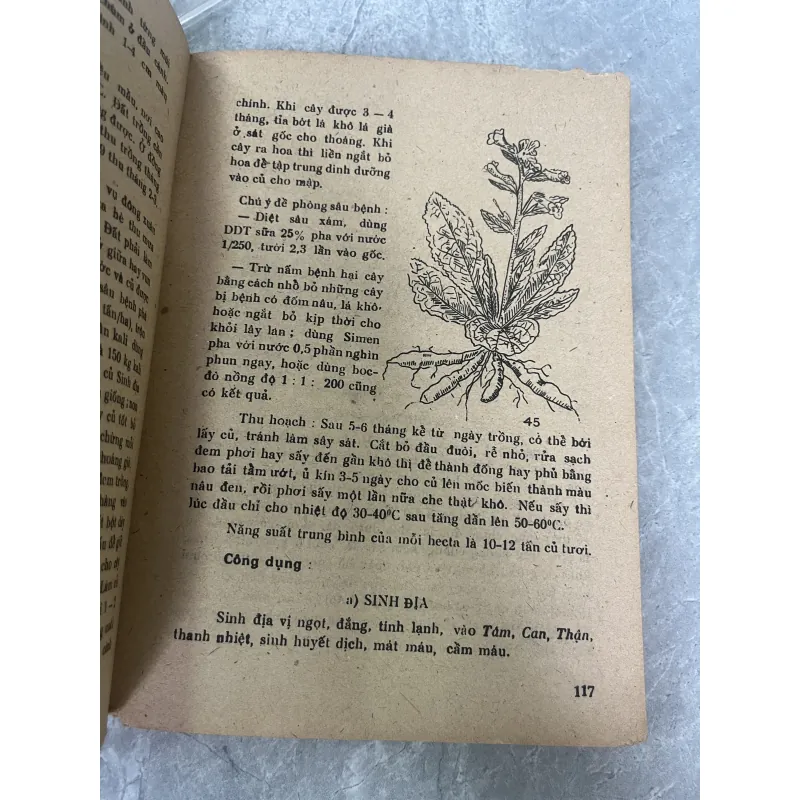 TRỒNG HÁI VÀ DÙNG CÂY THUỐC - LÊ TRẦN ĐỨC 785845