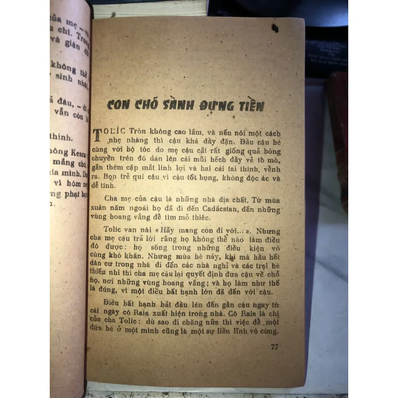 Quần đảo gạch - Rađi Pogođin 1005681