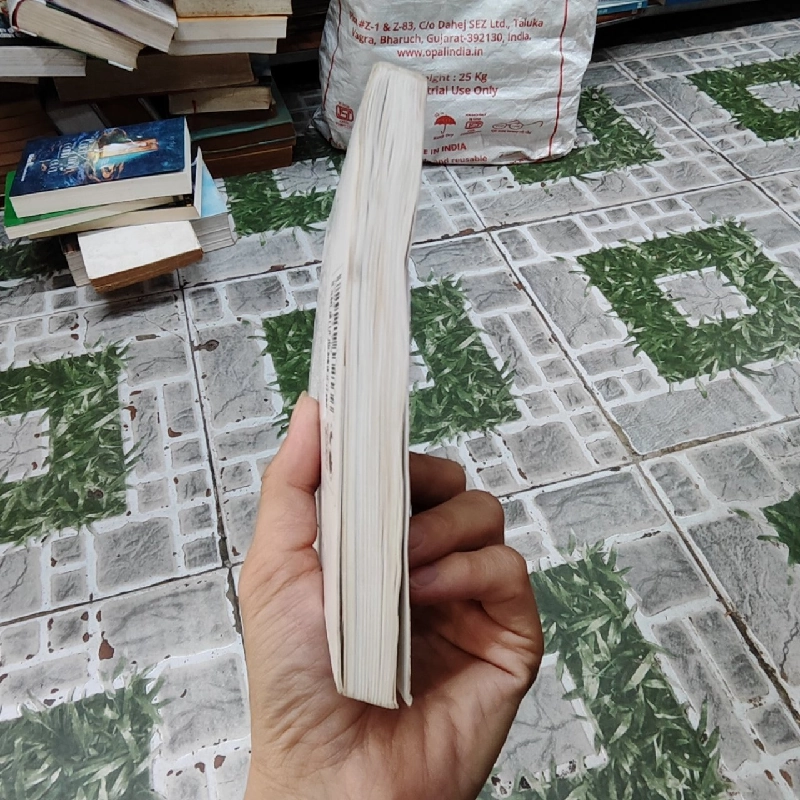 Nghìn ngày nước Ý, nghìn ngày yêu - Trương Anh Ngọc 545254