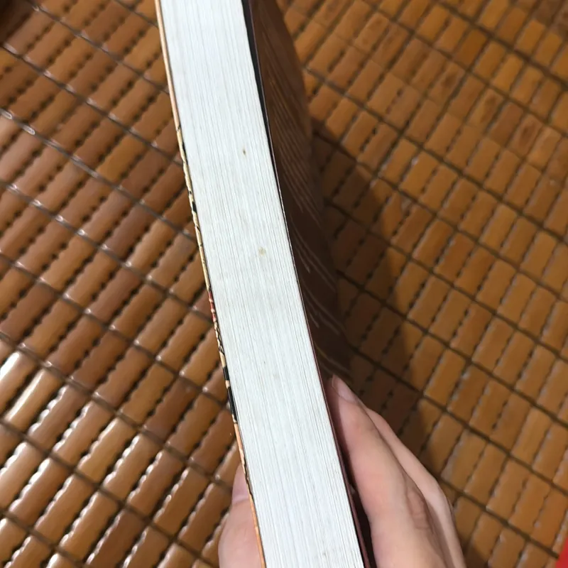 Cô gái mang trái tim đá - Andrew Davidson 568606