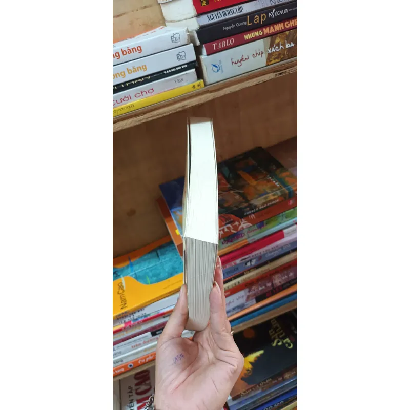 Tiêu sơn tráng sĩ - Khái Hưng 602487