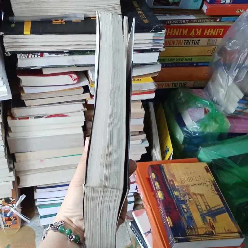 Bạch Dạ Hành - Higashino Keigo 800107