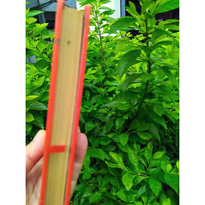 Ong mật phục vụ con người  của Ioiris  999669