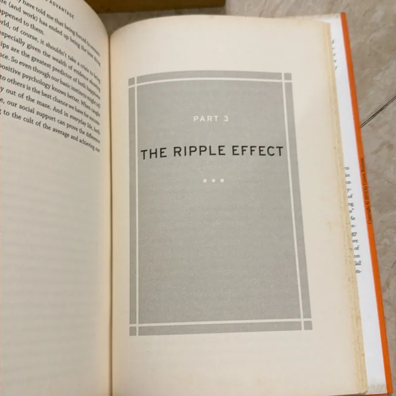 THE HAPPINESS ADVANTAGE 746102