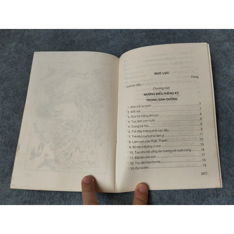 PHONG TỤC TẬP QUÁN NGƯỜI VIỆT 719894