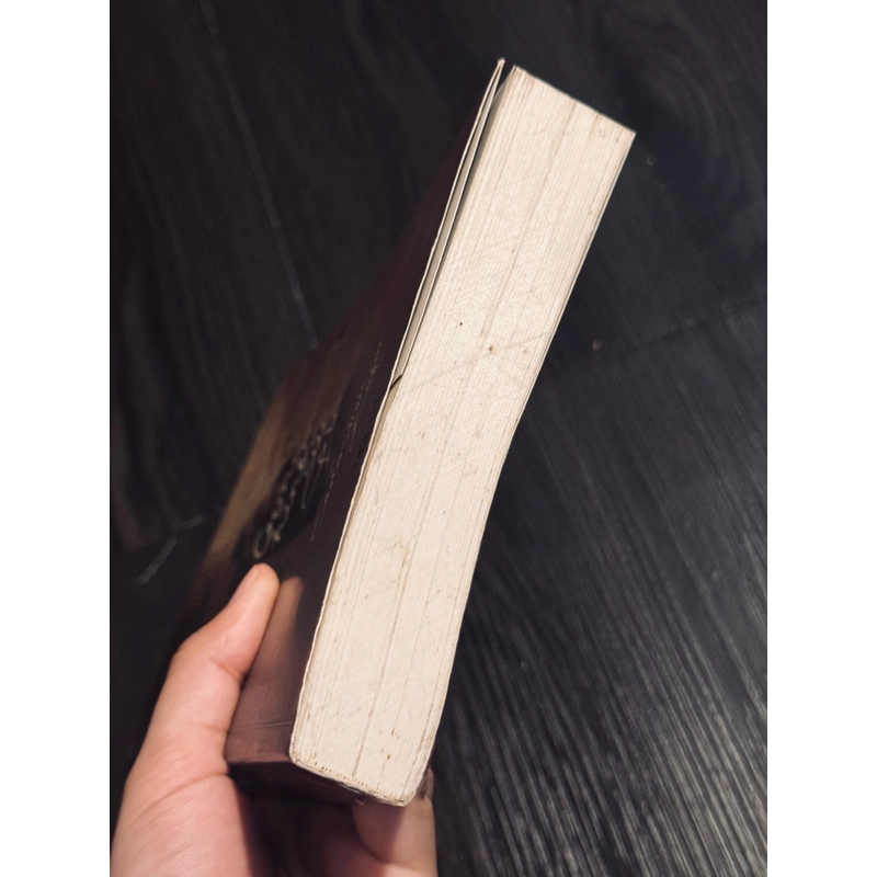 Bóng hình của gió 472343