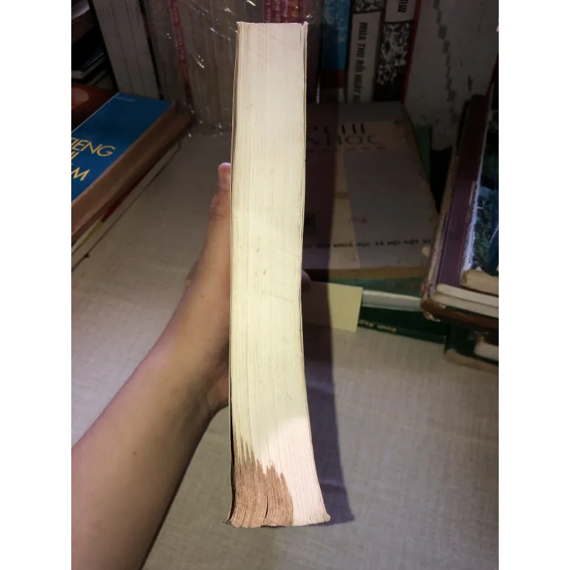 Thực Hành Ngữ Pháp Tiếng Hán Hiện Đại Nguyễn Hữu Trí 970496