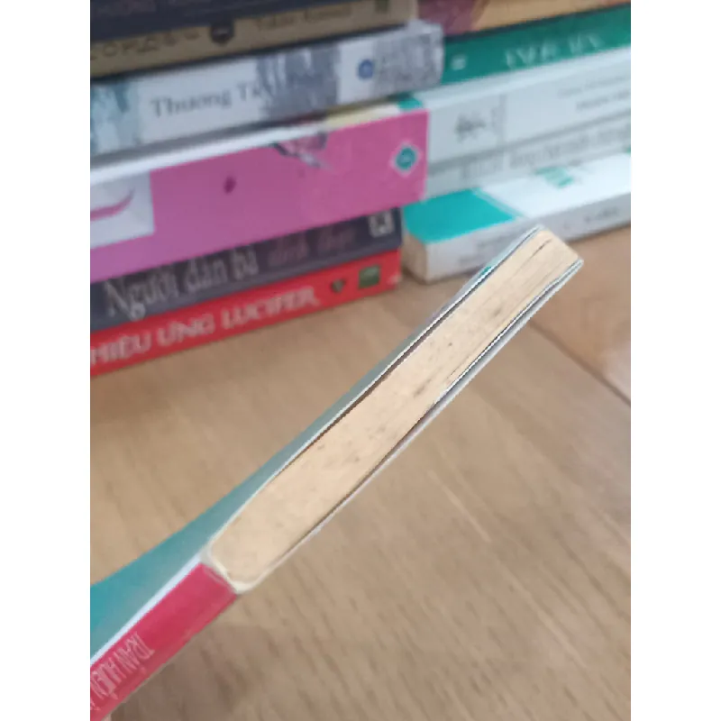 Mùa hè quê ngoại - Trần Huiền Ân 700634