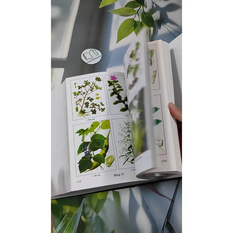 [MIỄN PHÍ BỌC SÁCH] Những Cây Thuốc Và Vị Thuốc Việt Nam - GS. TS Đỗ Tất Lợi 990368