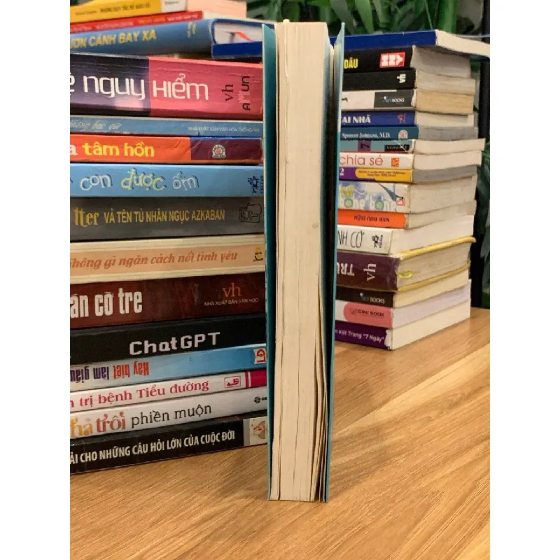 Nói yêu em bảy lần – Born 570836