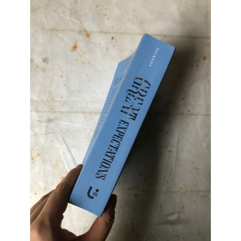 Great Expectations - Charles Dickens 778440
