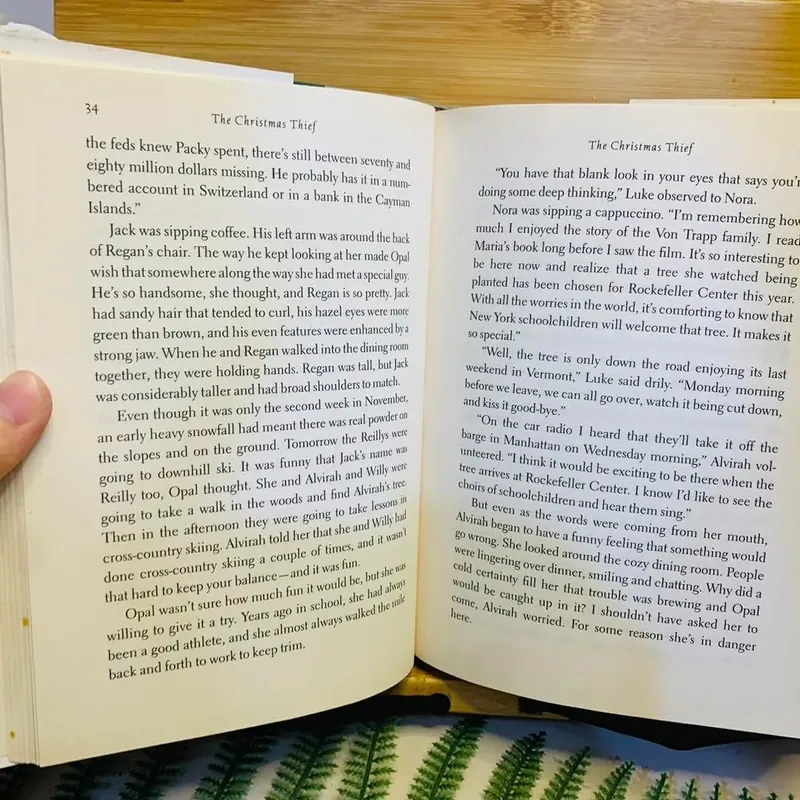 🎅 The Christmas Thief – Mary Higgins Clark & Carol Higgins Clark 571130