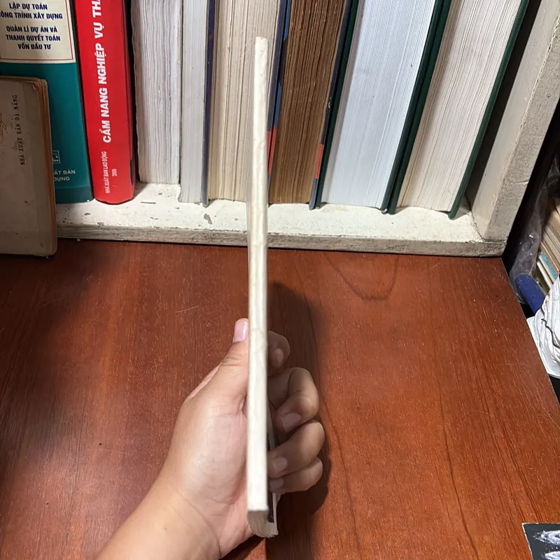 II Thế Giới: Sơ Lược Về Nước Cộng Hoà Hồi Giáo Iran - 1994 720783