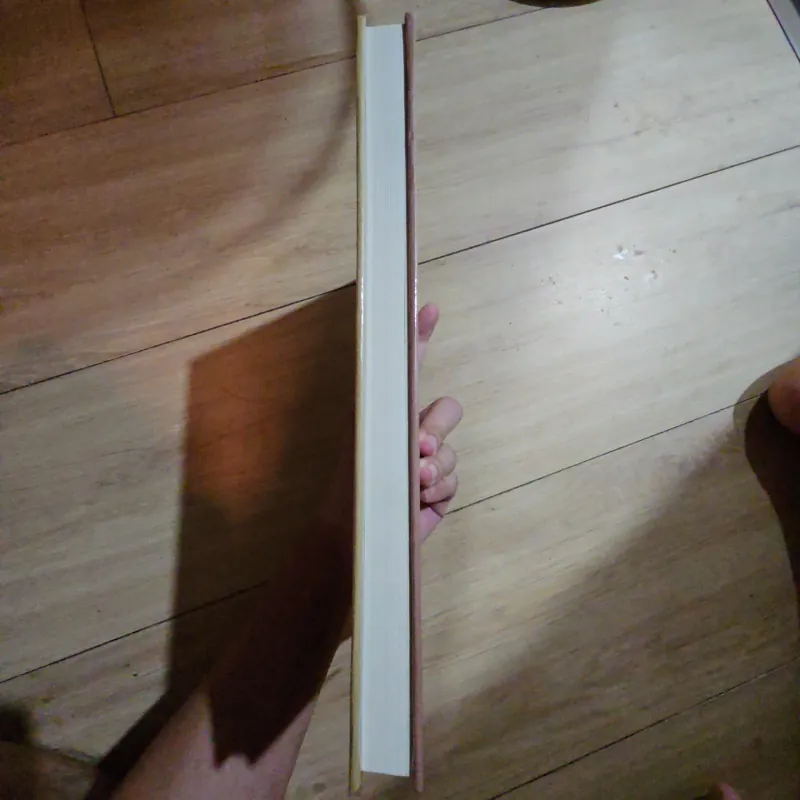 Hồi ký Gia đình Bạn bè Đất nước - Nguyễn Thị Bình 933842