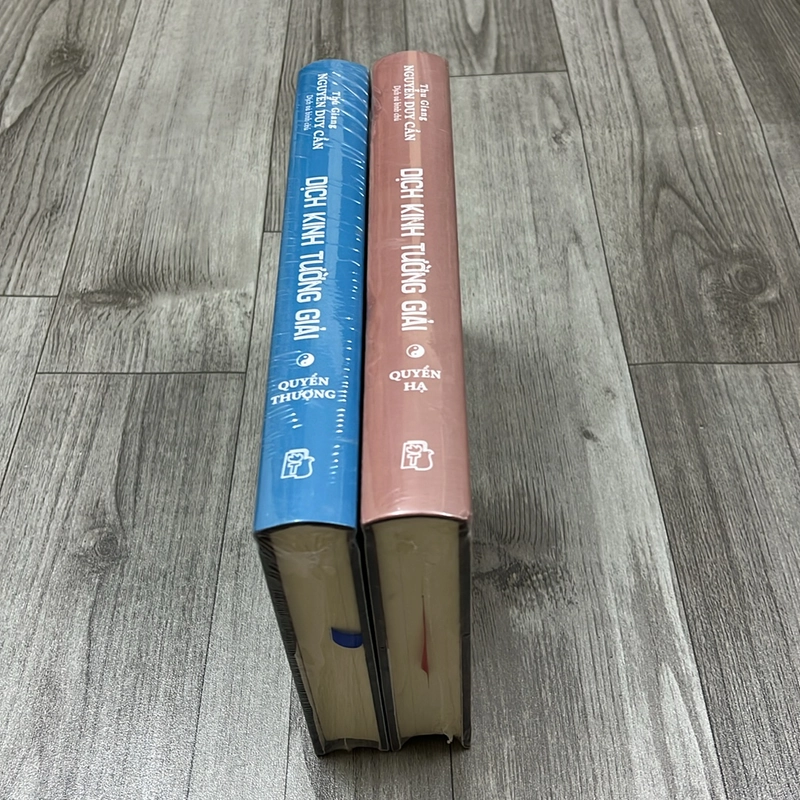 Dịch kinh tường giải. 3a1 529636