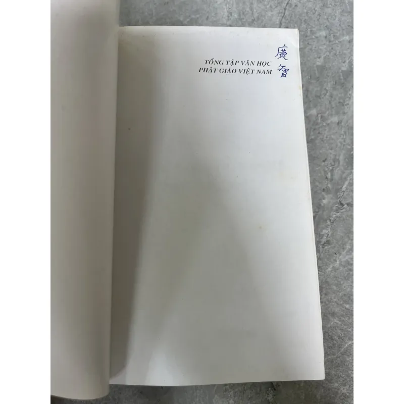 TỔNG TẬP VĂN HỌC PHẬT GIÁO VIỆT NAM - LÊ MẠNH THÁT 1030267
