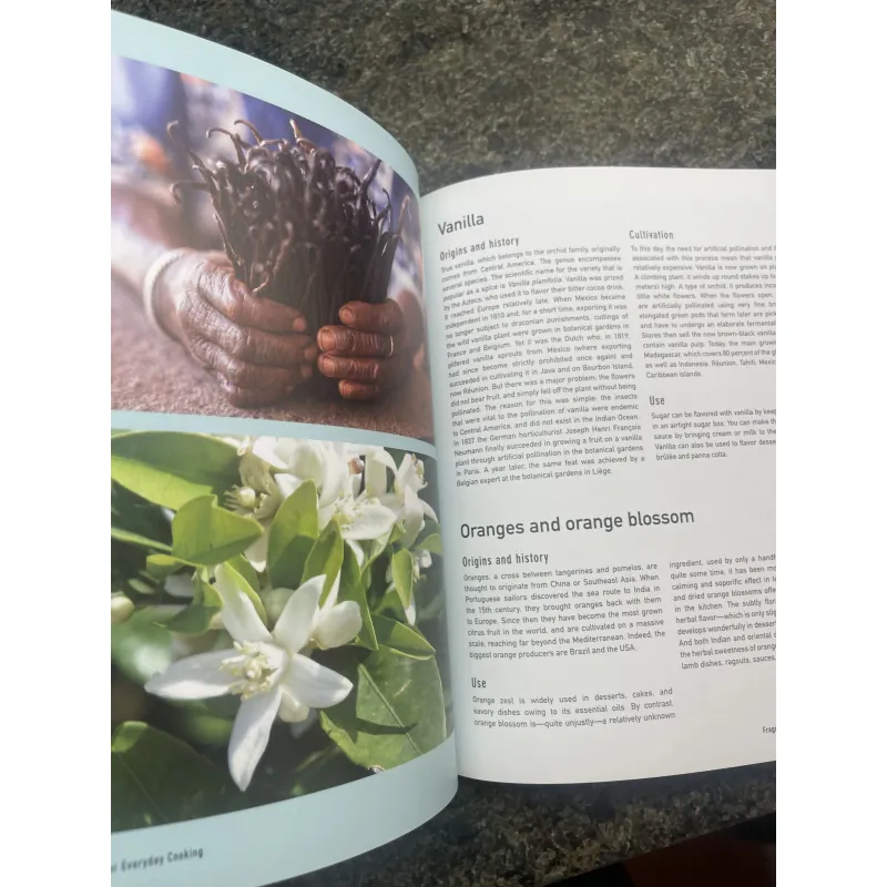 Global spicies for everyday cooking Sarah Golbaz & Hellmut Wagner 755613