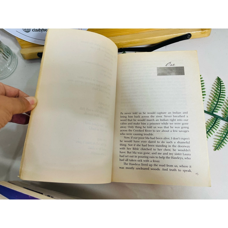 [Sách 2hand từ US] Like new 90% - Crooked River của Shelley Pearsall 476682