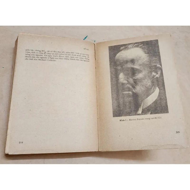 Tác phẩm VH kinh điển: BỐ GIÀ (Mario Puzo) - NXB Trẻ 1989, 519 trang 731773