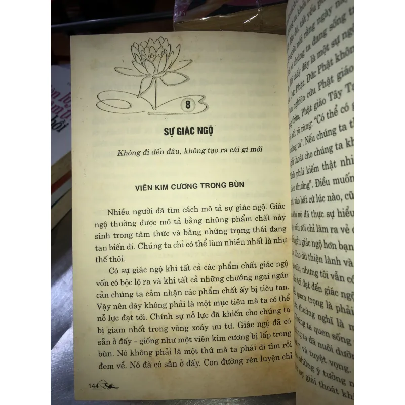 Tâm kim cương - Tâm lý học của việc hành thiền - Rob Nairn 781566