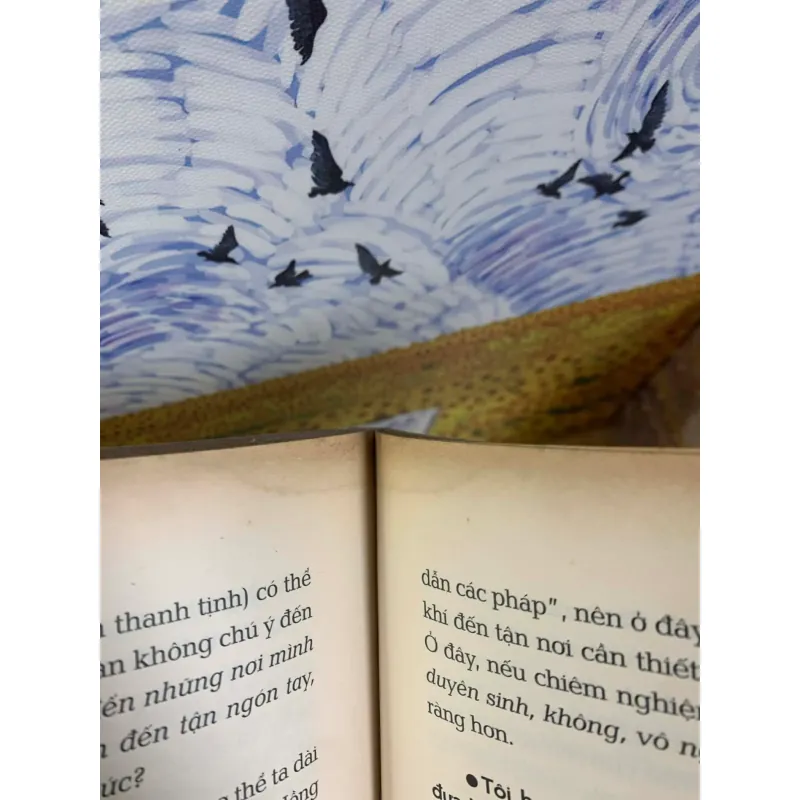 Thiền Và Sức Khỏe - BS Đỗ Hồng Ngọc 927965