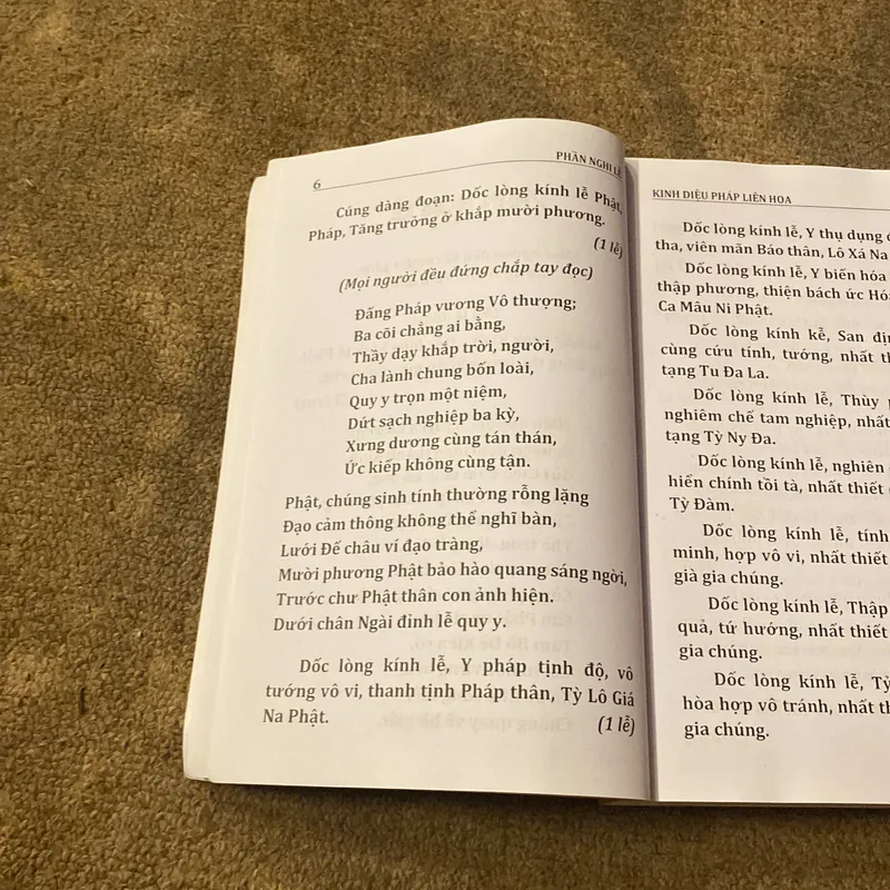 Kinh Diệu Pháp Liên Hoa- Dịch Giả: HT. Thích Tuệ Hải 689175