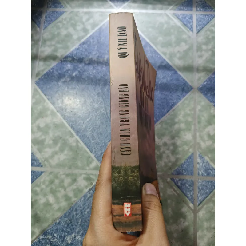 Cánh chim trong giông bão - Quỳnh Dao 975054