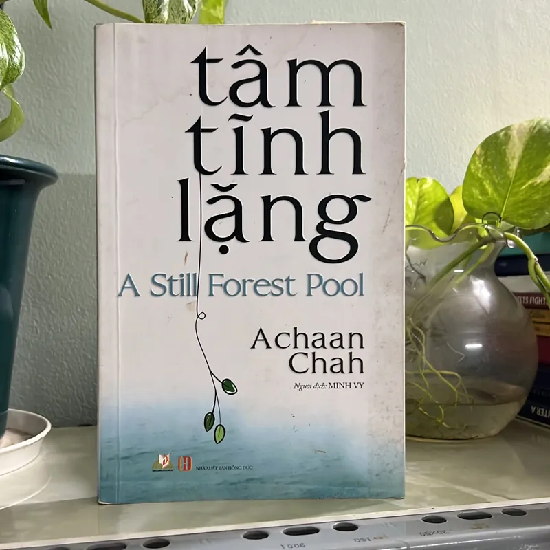 Tâm tĩnh lặng - Achaan Chah - [105 -> 40] 736363