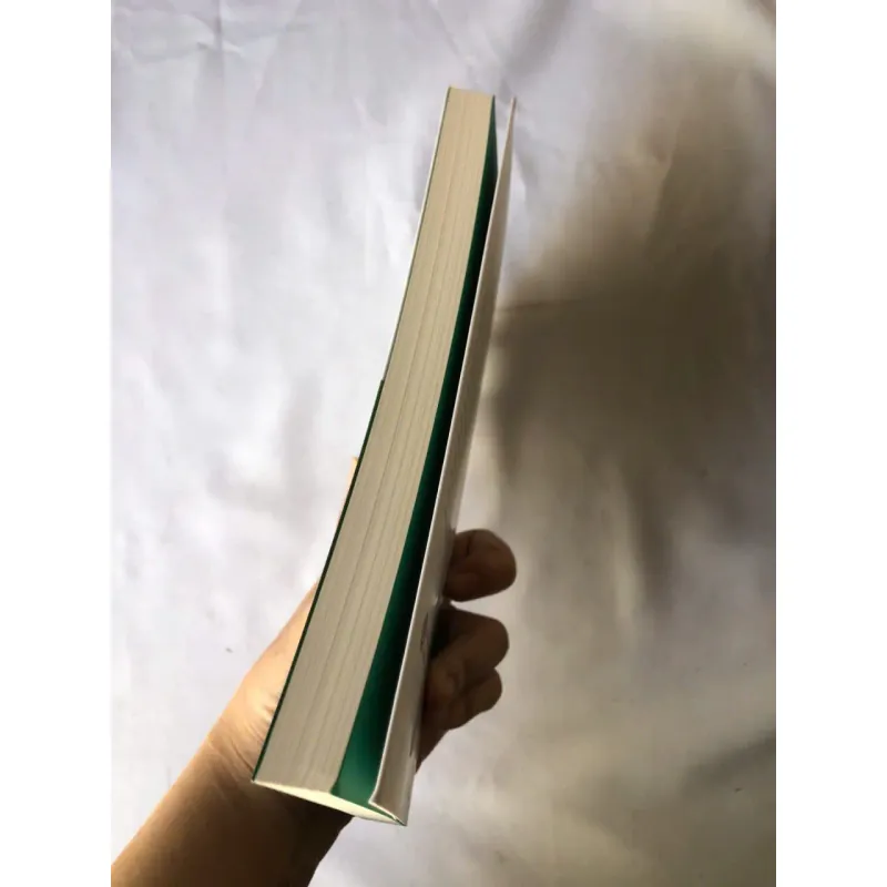 Người Bay Trong Gió Xanh - Phạm Duy Nghĩa 976135